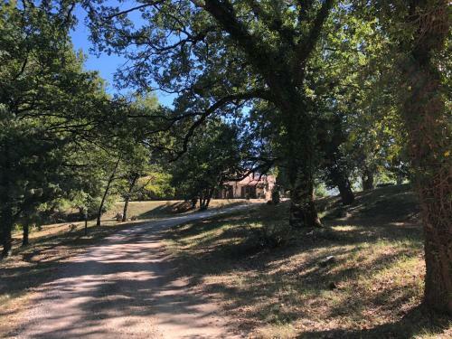 Bed & Breakfast Ferme Le Pavillon