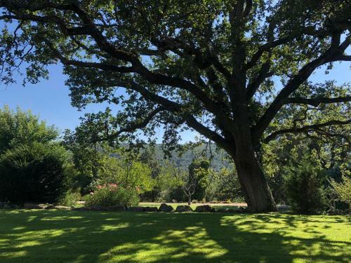 Bed & Breakfast Ferme Le Pavillon
