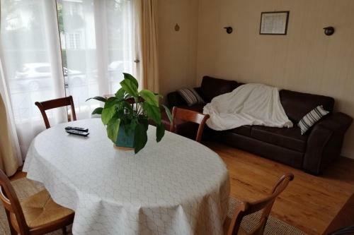 Cosy House