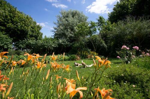 Maisons Les Tilleuls, Les Pins Et Les Lilas
