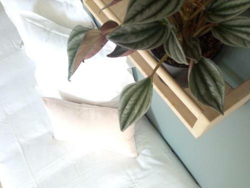 Hostal Maison Lavillete