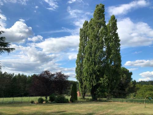 Dcv Summer Home