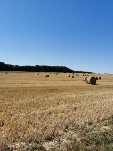 Bed & Breakfast Le Bois Aux Cerfs