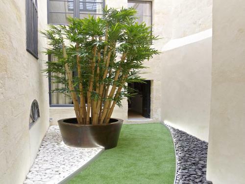 Apartamentos Culinaire