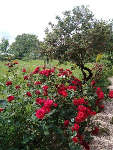Bed & Breakfast A L �poque