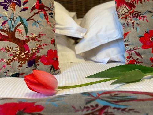 Cottage Du Grand Ch�ne