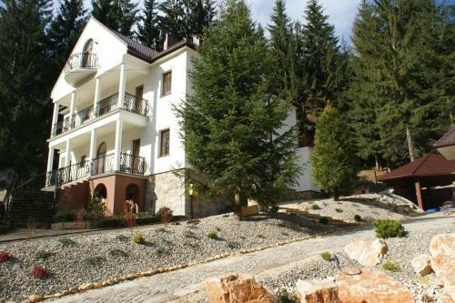 Bed & Breakfast Willa Amalia