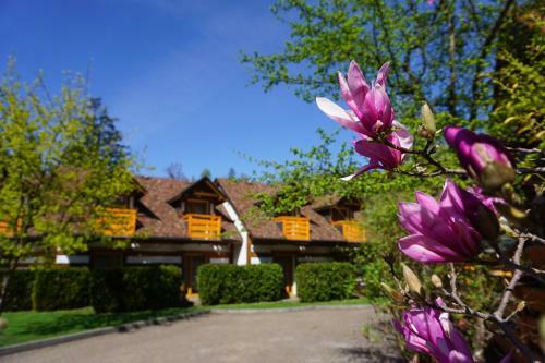 Apartamenty Kamratowo