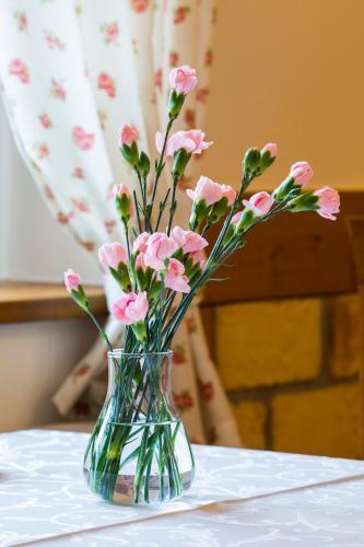 Hostal Villa Cynamon