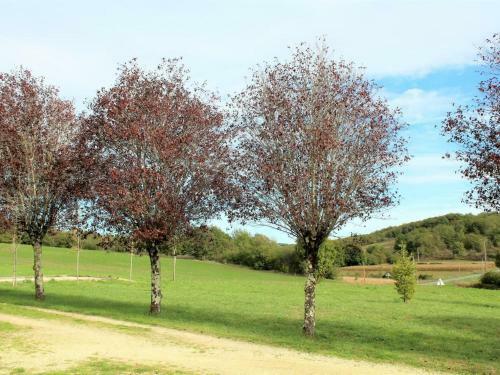 G�te Brouchaud, 3 Pi�ces, 6 Personnes - Fr-1-616-56