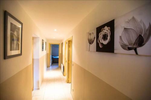 Apartment Figuier Private Garden Barbecue Shared Swiming Pool