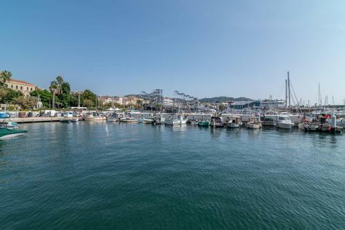 Appartment Misa Beautiful Apartment In Cannes Center