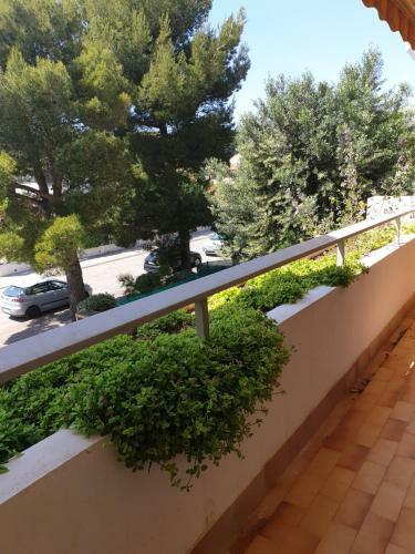 Apartamento Locabed - Le Corvette
