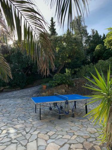 Villa Cavalaire Sur Mer