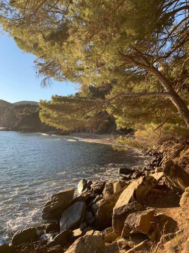 Villa Cavalaire Sur Mer