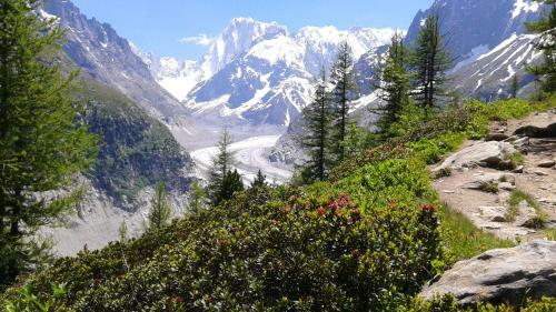 Apartment With One Bedroom In Chamonix Mont Blanc With Wifi