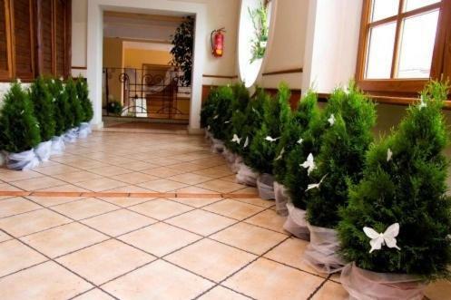 Hotel Jank�w