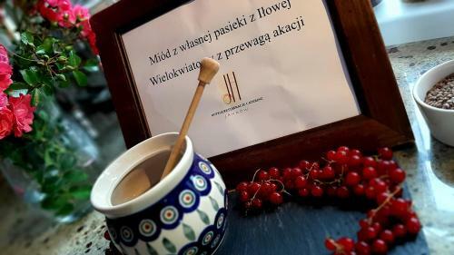 Hotel Jank�w