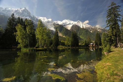 Apartamento Cosy Studio Near The Slopes In Chamonix