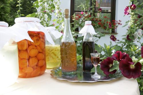 Hotel Wenus
