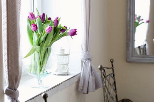 Hostal Vital House