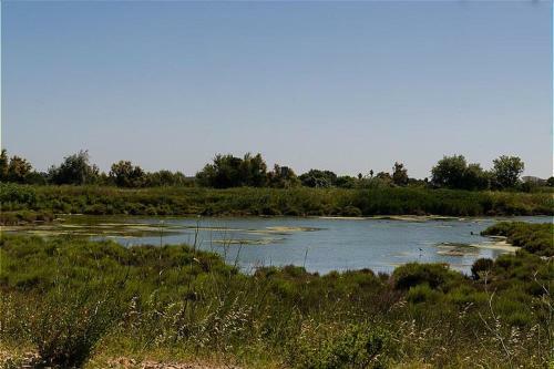 Hotel Le Domaine Du Golf Villa 4p 8p AC