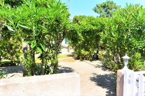 Apartamento Canella 4
