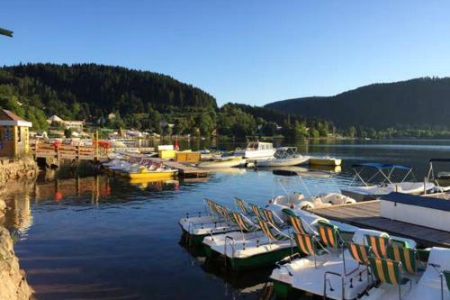 Apartment With One Bedroom In Gerardmer With Wifi