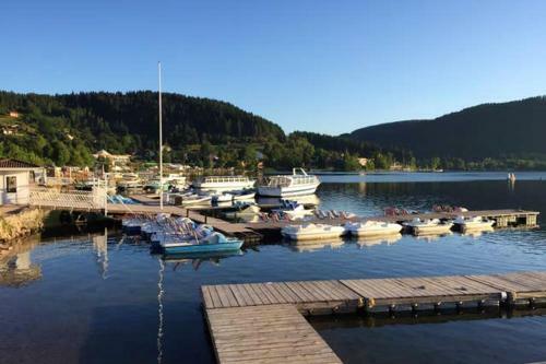 Apartment With One Bedroom In Gerardmer With Wifi