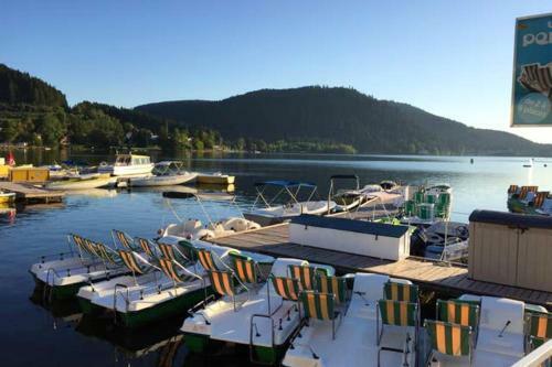 Apartment With One Bedroom In Gerardmer With Wifi