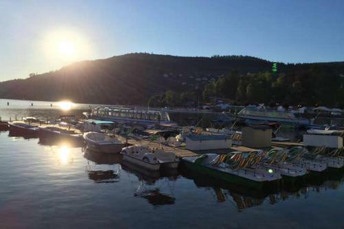 Apartment With One Bedroom In Gerardmer With Wifi