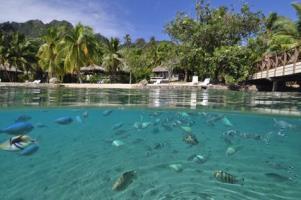 Hotel Intercontinental Moorea Resort & Spa