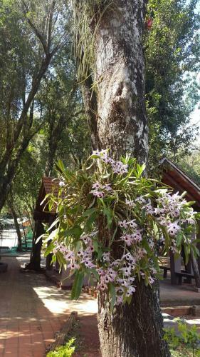 Del Sur Hotel-museo