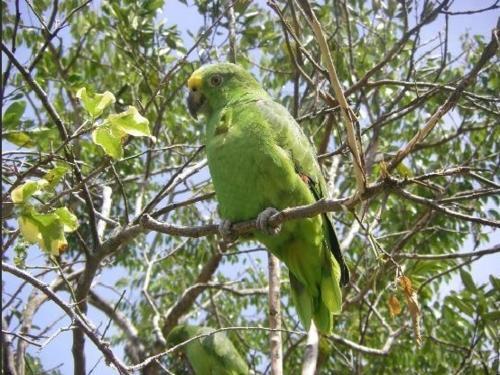 Albergue Hostal Cariguana
