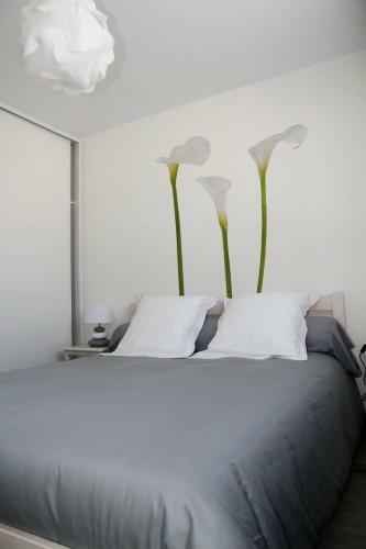 Apartamento Belharra - Apt 3*** Dans Villa Typique Et Piscine