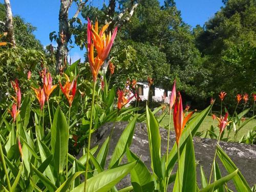 Hotel Refugio De Montana