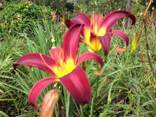 Hotel Refugio De Montana