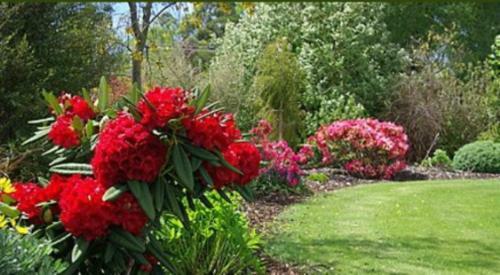 Bed & Breakfast Tui Lodge