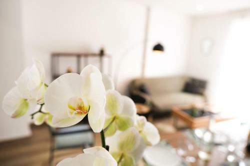 Apartamento Le Chambord
