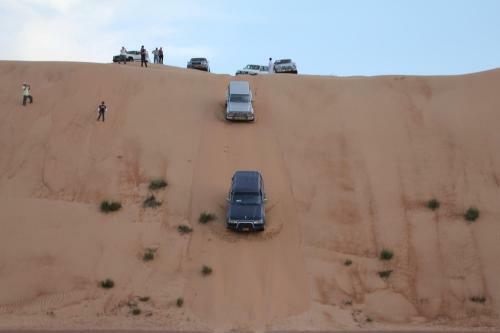 Desert Wonders Camp