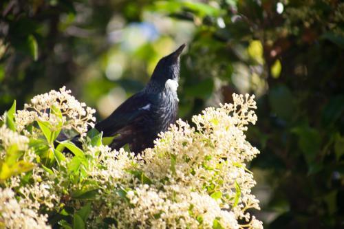 Bed & Breakfast The Loft