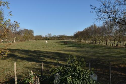 Villa Mas Typique En Pleine Camargue Le Cailar