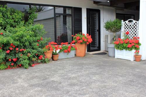 Apartamento Maison De Rose
