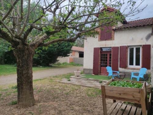 Les Lauriers D'enyo, G�te Pr�s D'albi.