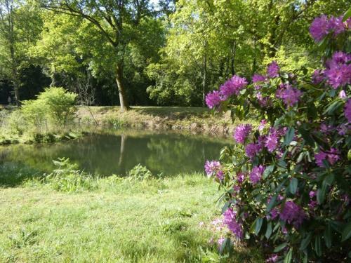 G�te Lesperon, 5 Pi�ces, 8 Personnes - Fr-1-360-15