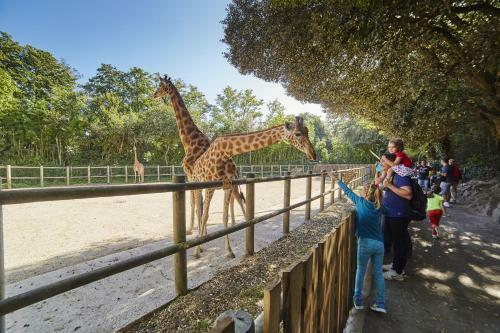 Ambiance Chaleureuse Et Familiale � Olonne-sur-mer