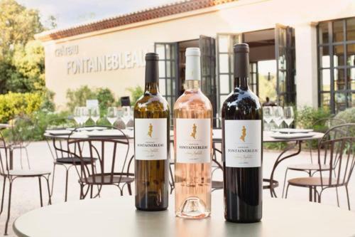 Villa Terrubi Beautiful Authentic Bastide Nestled In The Vineyards