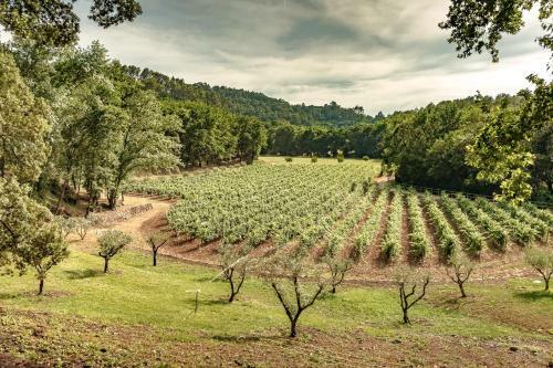 Villa Terrubi Beautiful Authentic Bastide Nestled In The Vineyards