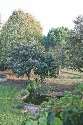 Bed & Breakfast Le Grenier de Louisette