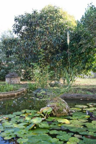 Bed & Breakfast Le Grenier de Louisette